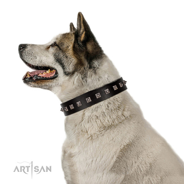 Awesome embellished natural leather dog collar