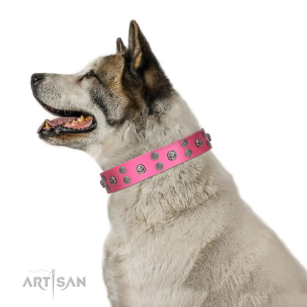 Daily use genuine leather dog collar with adornments