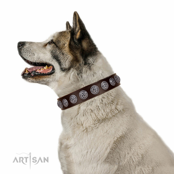 Unique full grain natural leather dog collar with strong D-ring