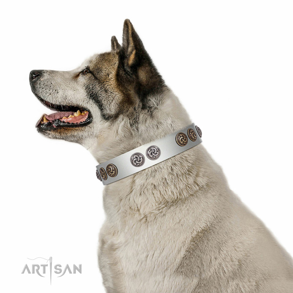Stunning full grain natural leather collar for your four-legged friend