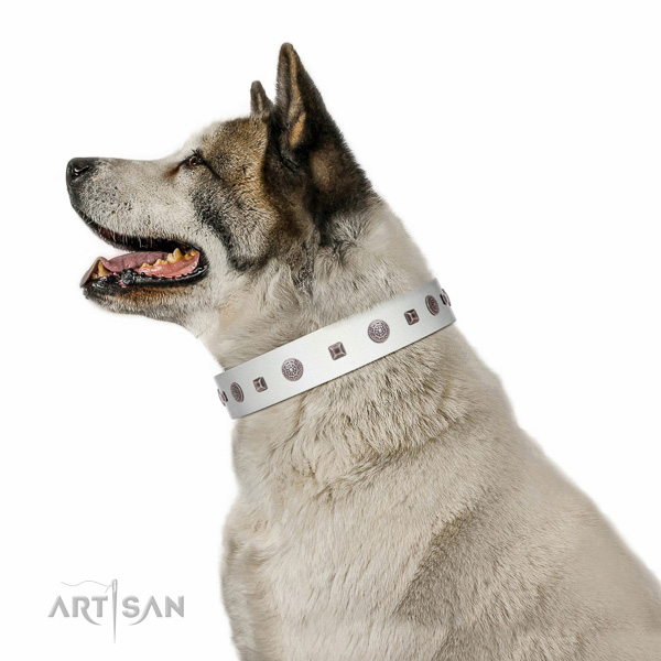 High quality leather dog collar with decorations