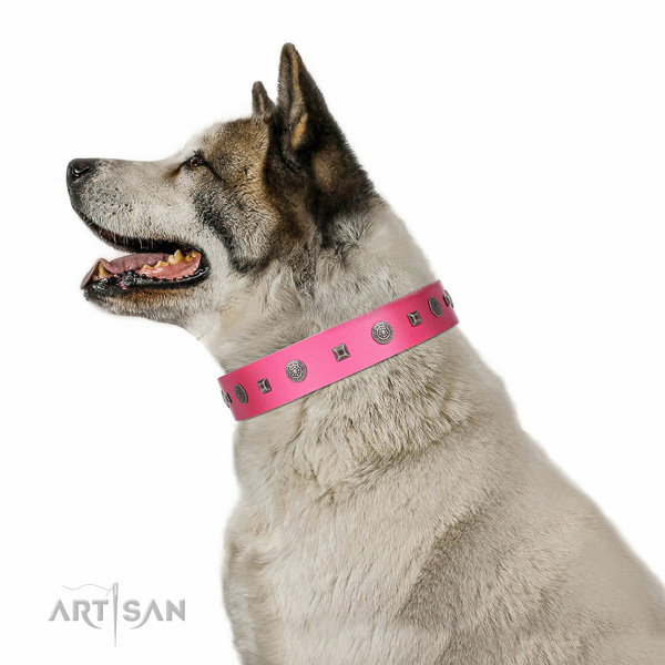 Rust resistant D-ring on daily walking collar for your canine