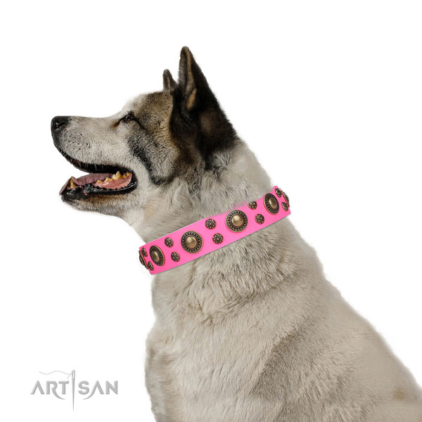 Akita-Inu studded leather dog collar with embellishments