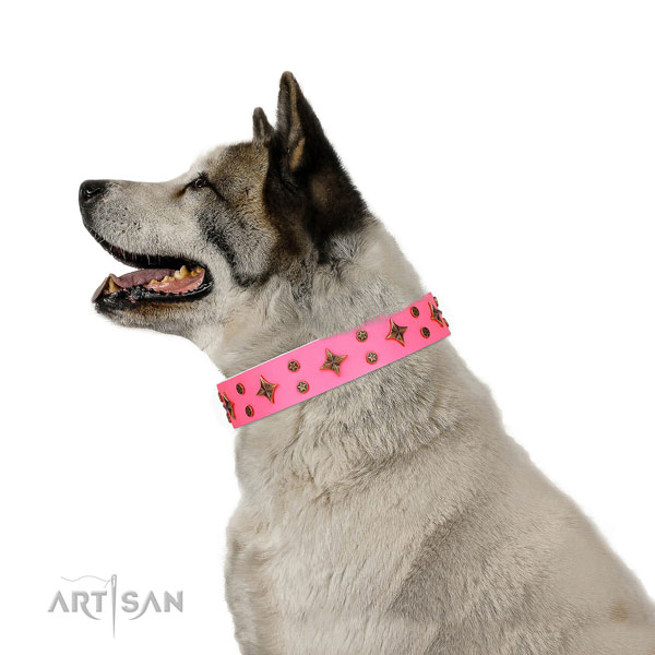 Akita-Inu stylish design full grain leather dog collar with adornments
