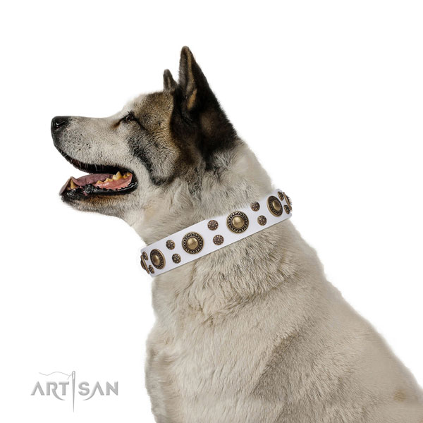 Akita-Inu top quality genuine leather dog collar with adornments