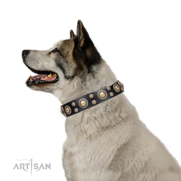 Akita-Inu unusual natural genuine leather dog collar with embellishments