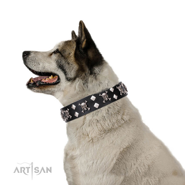 Akita-Inu leather dog collar for everyday use