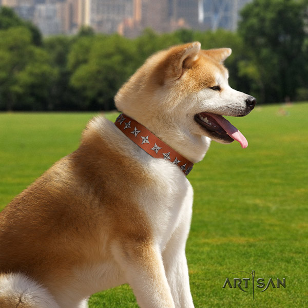 Akita Inu genuine leather dog collar with stylish studs