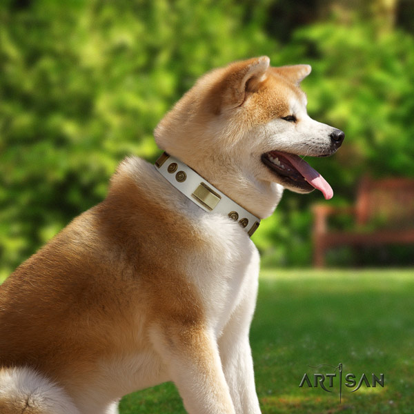 Akita Inu leather dog collar with exquisite embellishments