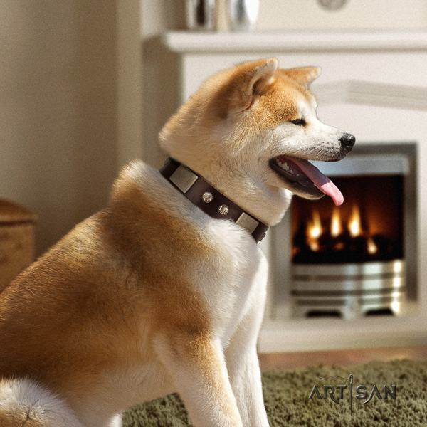 Akita Inu everyday walking full grain genuine leather collar with studs for your doggie