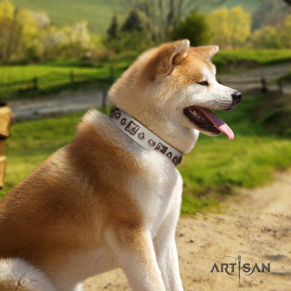 Akita Inu full grain leather dog collar with unique decorations