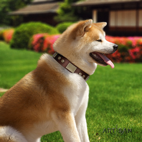 Akita Inu full grain leather dog collar with top notch decorations