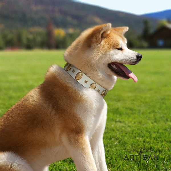 Akita Inu comfy wearing genuine leather collar with decorations for your dog