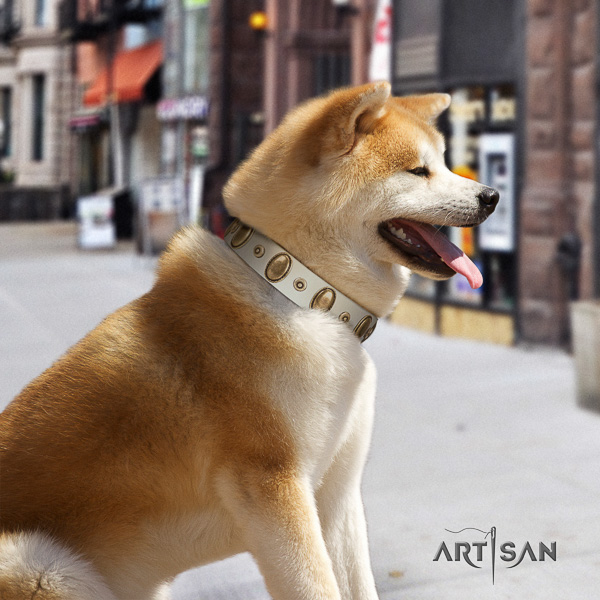 Akita Inu fancy walking full grain genuine leather collar with decorations for your dog