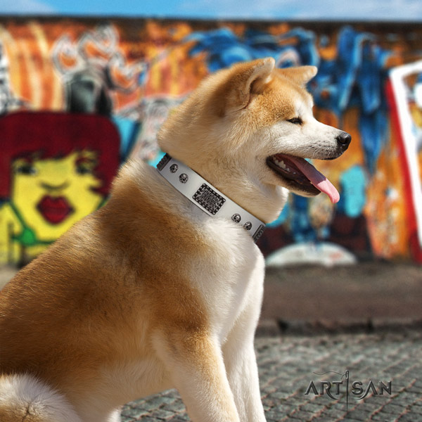 Akita Inu full grain leather dog collar with significant studs