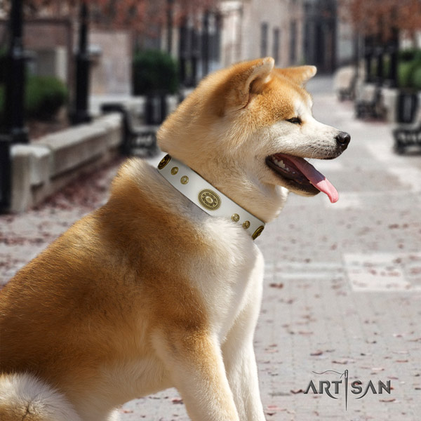 Akita Inu full grain leather dog collar with designer decorations