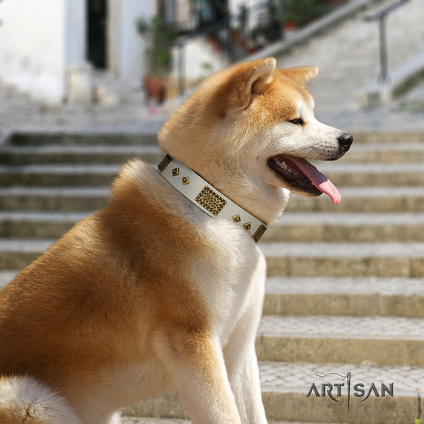 Akita Inu full grain leather dog collar with extraordinary embellishments