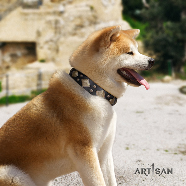 Akita Inu genuine leather dog collar with stylish embellishments