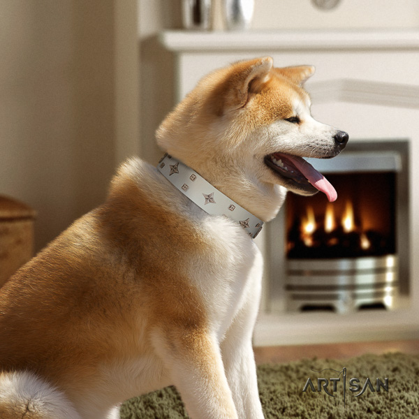 Akita Inu daily walking genuine leather collar with embellishments for your four-legged friend