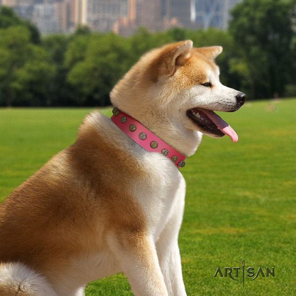 Akita Inu walking natural leather collar with adornments for your pet