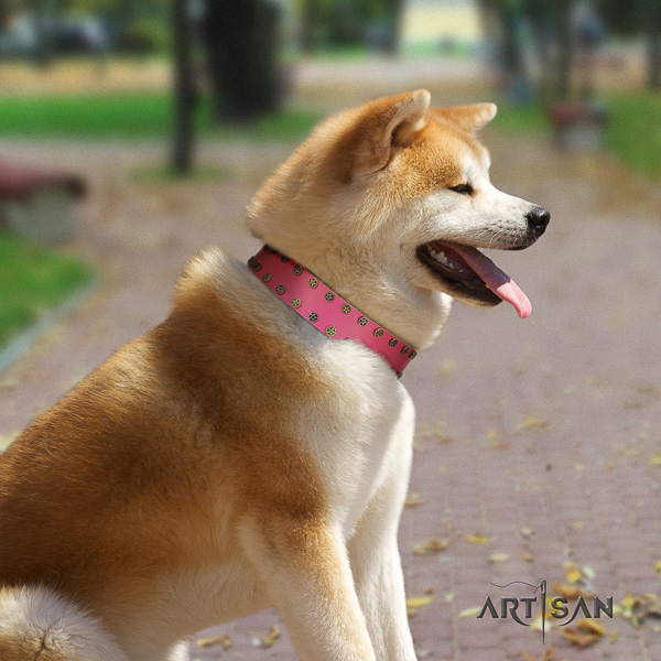 Akita Inu daily walking full grain genuine leather collar with studs for your dog