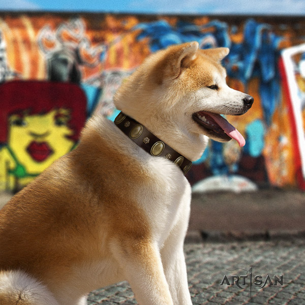 Akita Inu walking full grain genuine leather collar with adornments for your doggie
