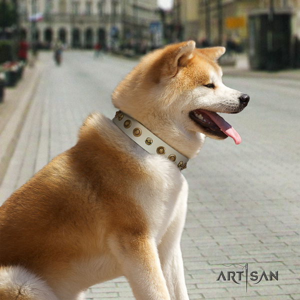 Akita Inu handy use full grain leather collar with embellishments for your doggie