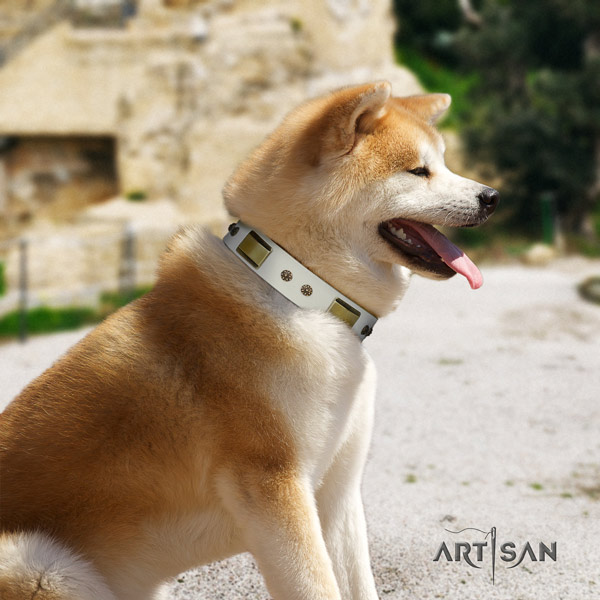 Akita Inu leather dog collar with stylish design embellishments