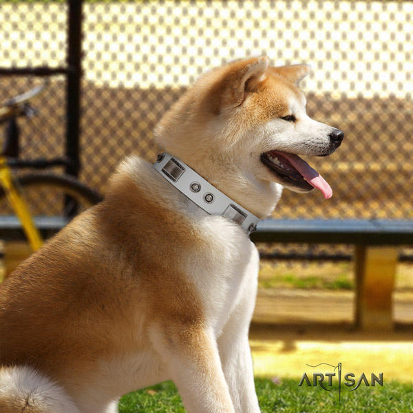 Akita Inu studded full grain leather dog collar with fashionable decorations