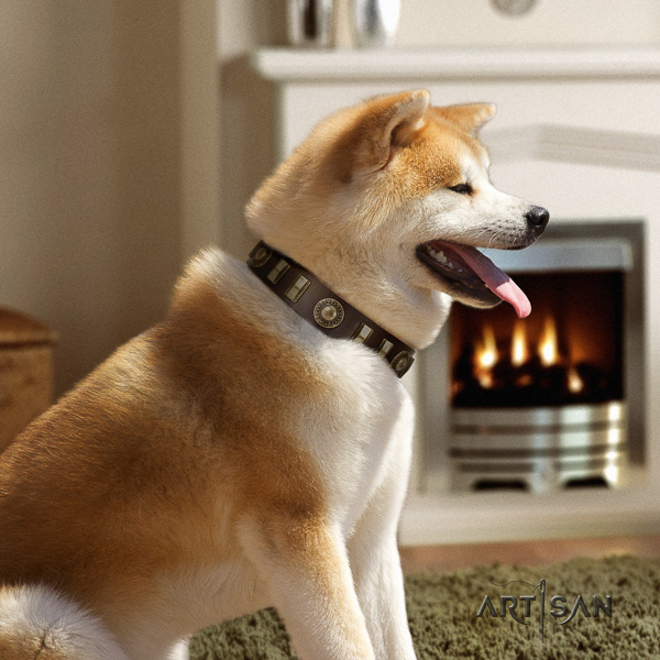 Akita Inu stylish walking natural leather collar with studs for your pet