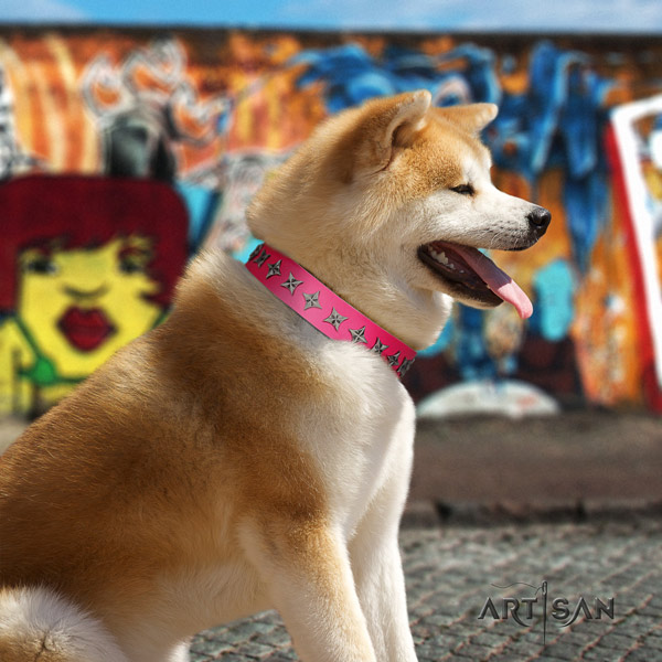 Akita Inu genuine leather dog collar with unique studs