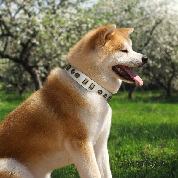 Akita Inu genuine leather dog collar with significant decorations