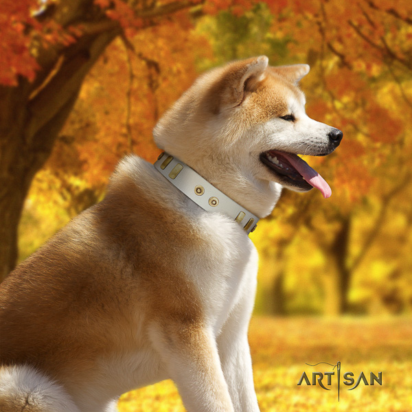 Akita Inu easy wearing full grain natural leather collar with studs for your pet
