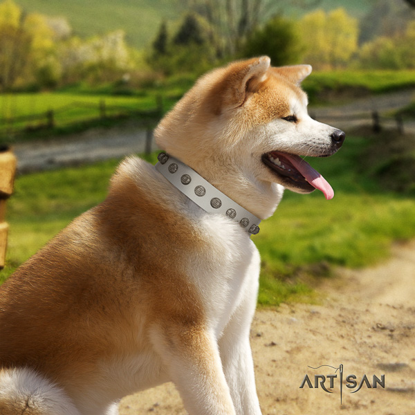 Akita Inu everyday walking genuine leather collar with decorations for your dog