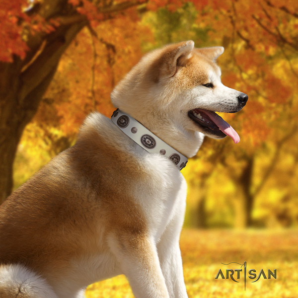 Akita Inu full grain leather dog collar with inimitable decorations