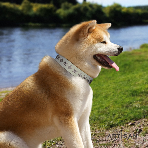 Akita Inu genuine leather dog collar with stylish design adornments