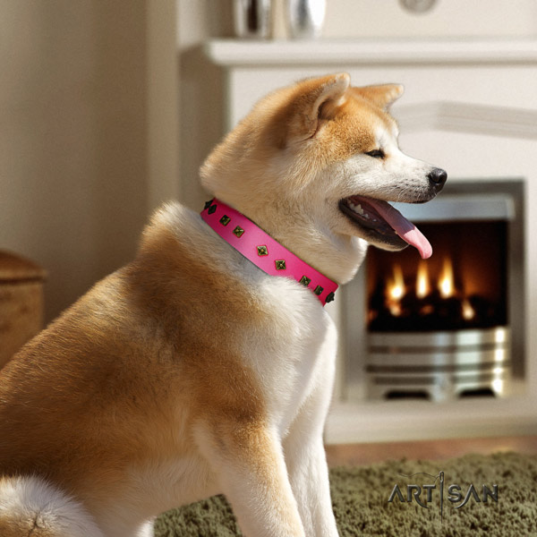 Akita Inu genuine leather dog collar with exquisite decorations