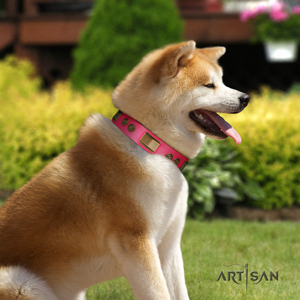 Akita Inu full grain leather dog collar with extraordinary studs