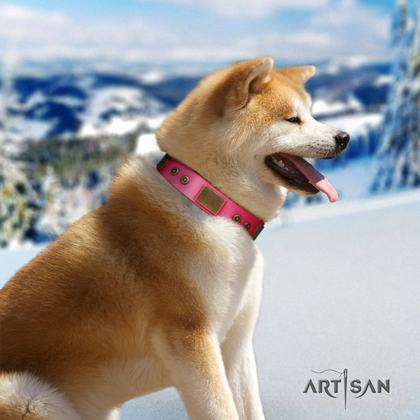 Akita Inu genuine leather dog collar with awesome studs