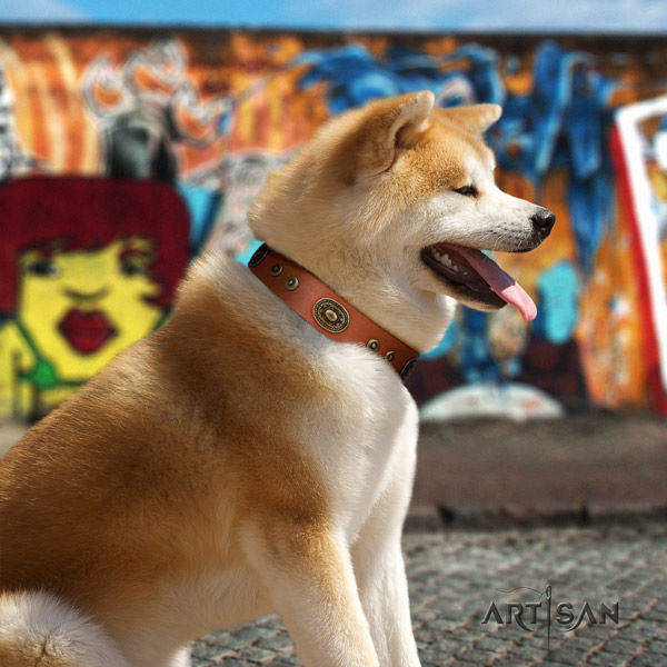 Akita Inu fashionable full grain genuine leather collar for stylish walking