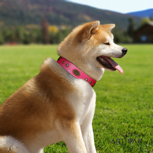 Akita Inu genuine leather dog collar with unusual studs