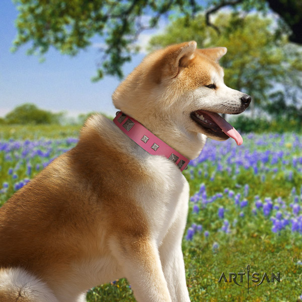 Akita Inu everyday use full grain leather collar with embellishments for your canine