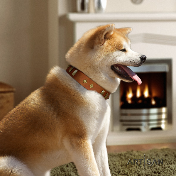 Akita Inu daily use full grain genuine leather collar with embellishments for your canine