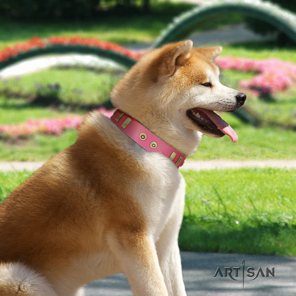 Akita Inu stylish walking full grain natural leather collar with studs for your four-legged friend