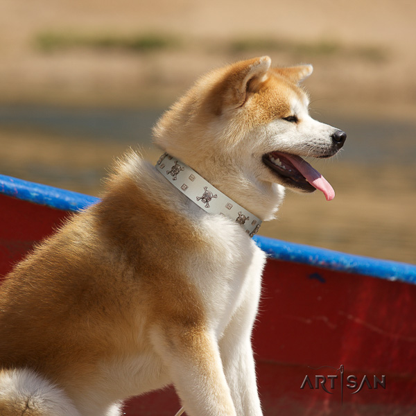 Akita Inu fancy walking leather collar with studs for your four-legged friend