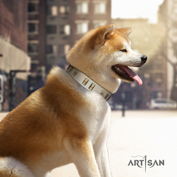 Akita Inu comfy wearing natural leather collar with adornments for your four-legged friend
