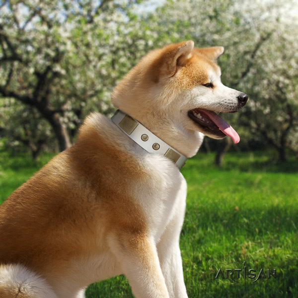Akita Inu easy wearing natural leather collar with studs for your pet