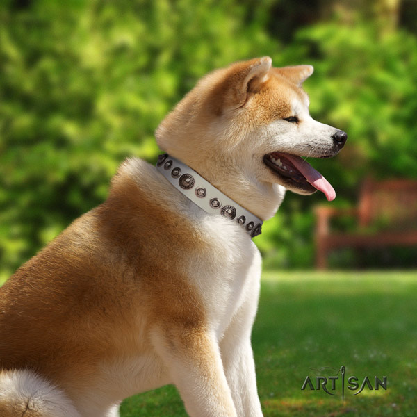 Akita Inu top notch full grain leather collar for stylish walking