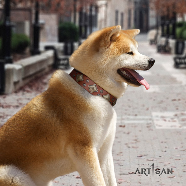 Akita Inu leather dog collar with incredible adornments