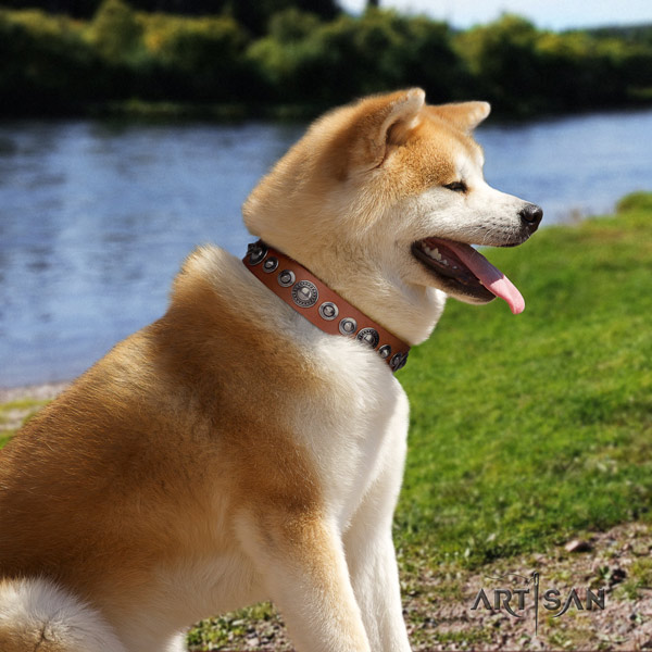 Akita Inu inimitable full grain natural leather collar for walking